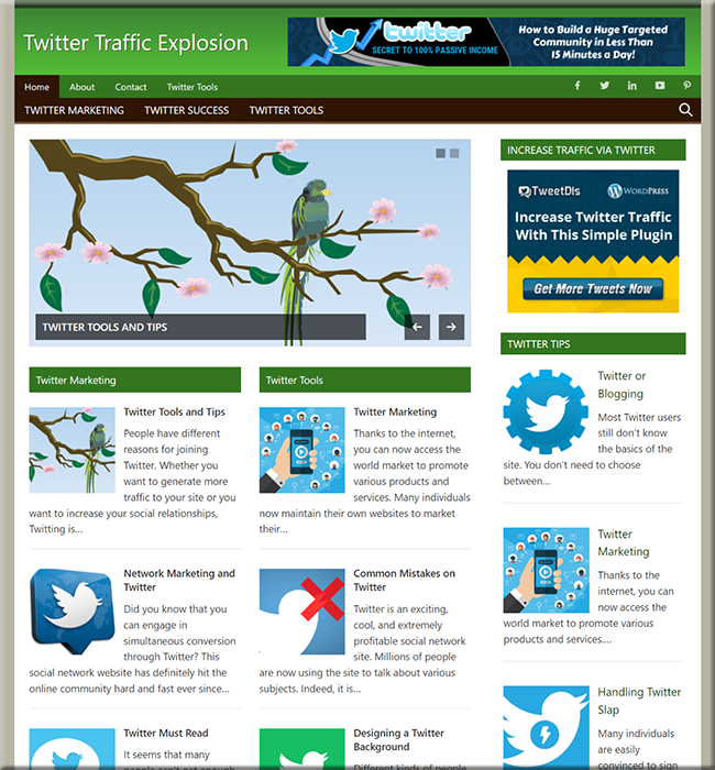 twitter traffic explosion turnkey website
