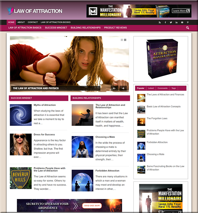 law attraction turnkey website
