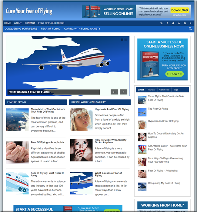 fear flying turnkey website