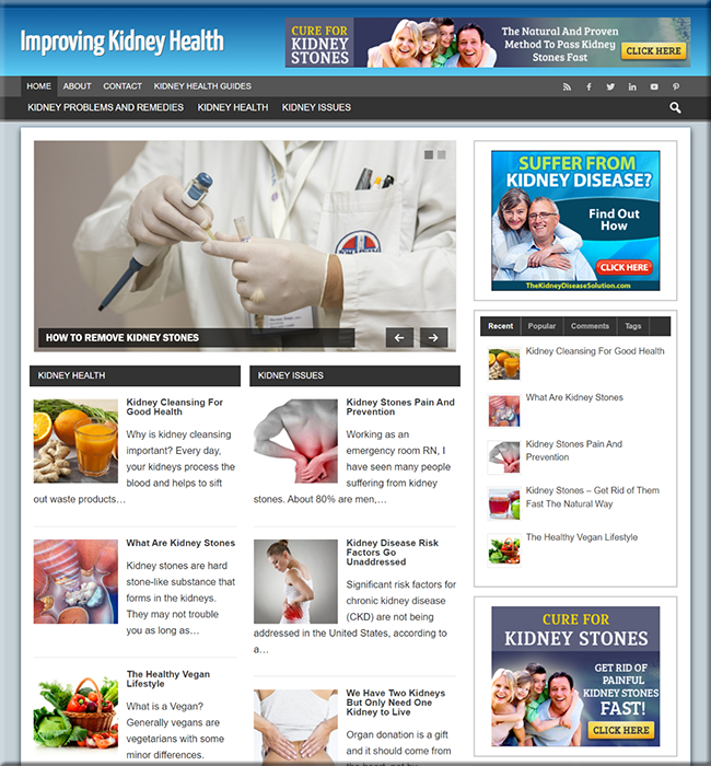 kidney health turnkey website