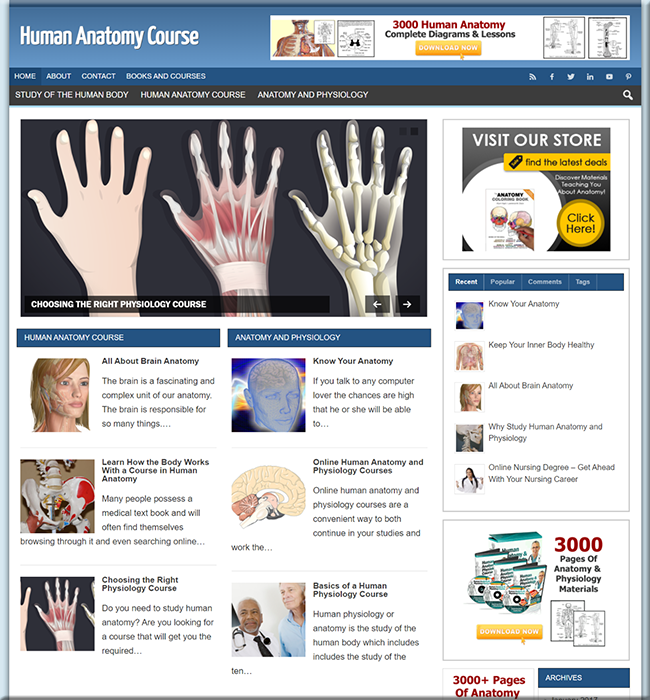 human anatomy turnkey website
