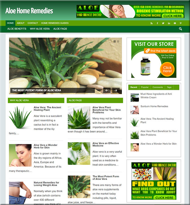 aloe remedies turnkey website